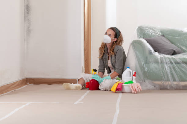 Reliable Black Mold Removal contractor in Boonton, NJ by WQB Mold Removal